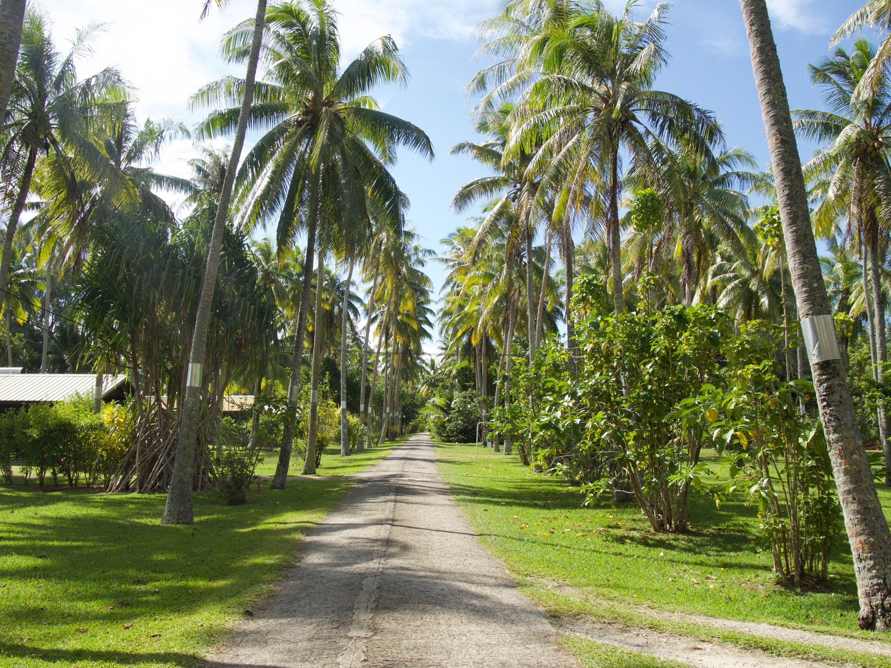 Pension Sunset Beach Motel